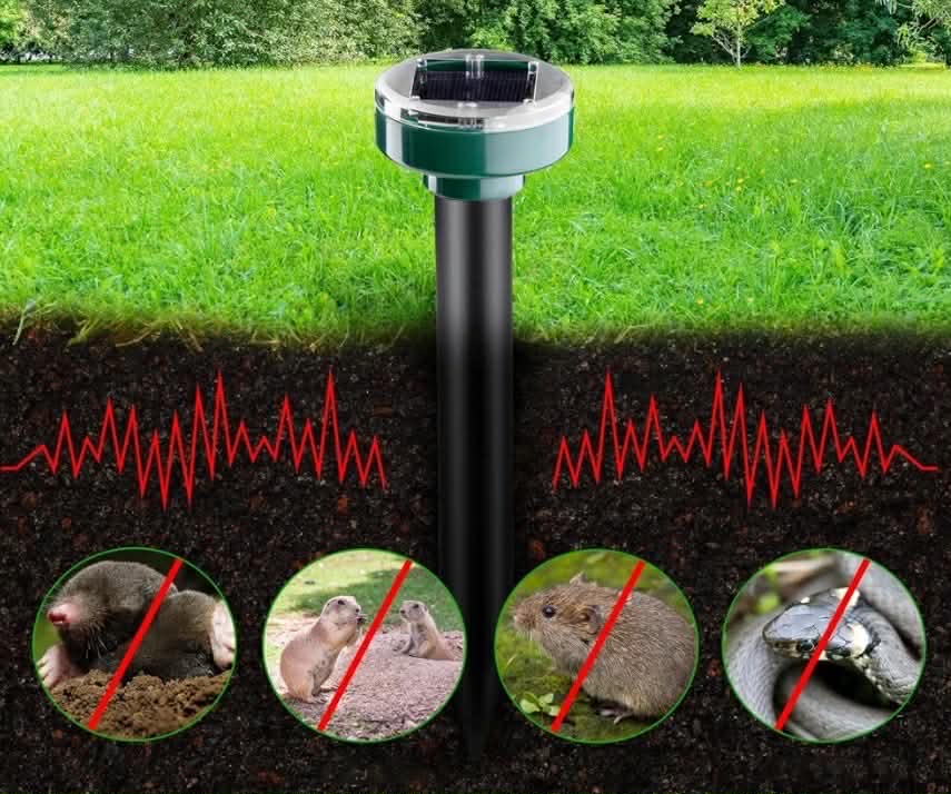Solcellsdriven Sork-, Mus- & Ormskrämma – Ultraljud & Vibration | 2-Pack