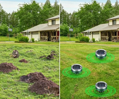 Solcellsdriven Sork-, Mus- & Ormskrämma – Ultraljud & Vibration | 2-Pack